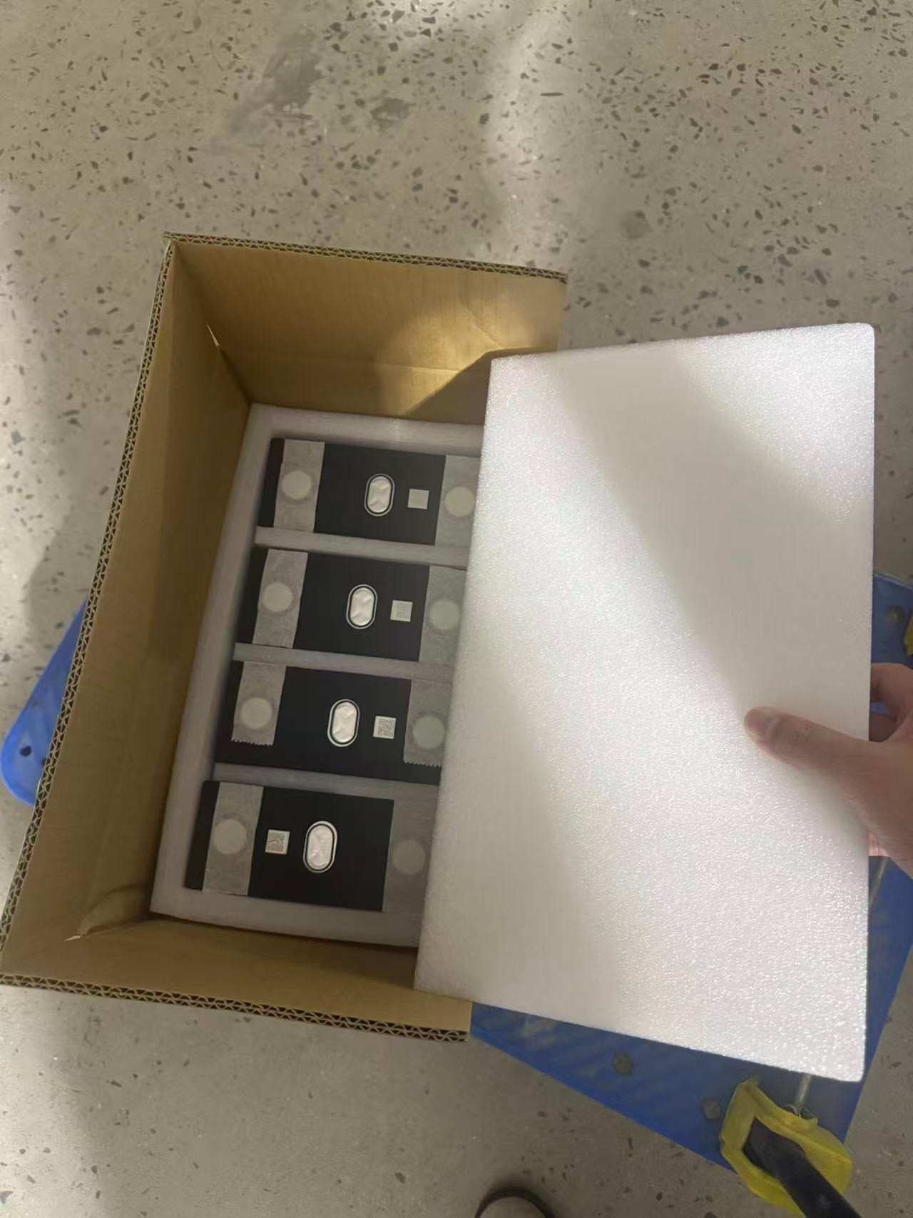 Cells separated by foam inside a carton.